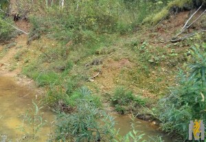 20160902_175434.jpg