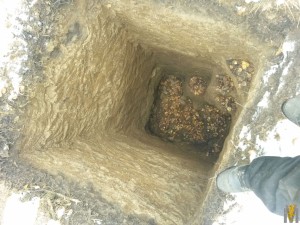 20161027_140512.jpg