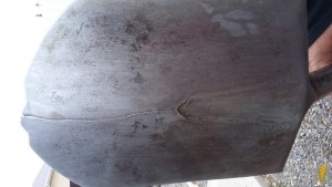 20180515_202733.jpg