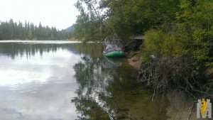 IMG-20180909-WA0000.jpg