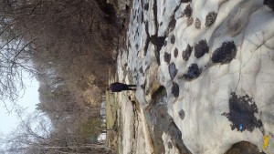 20190406_115655.jpg