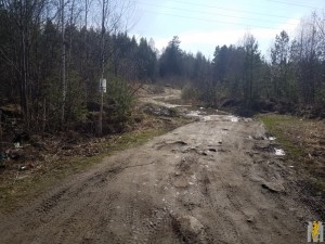 20190509_155827.jpg