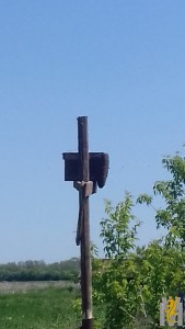 IMG-20190530-WA0011.jpg
