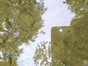 IMG_20190714_155543.jpg
