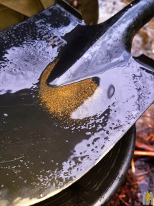 20190602_142811[1].jpg