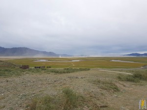 20190531_133001[1].jpg