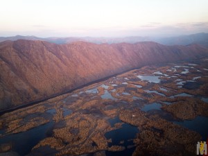InShot_20200918_232753509.jpg