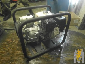 3950.jpg