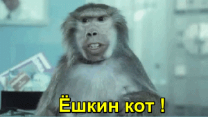 6aaac.gif