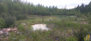20230722_203141.jpg