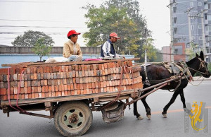 transport_25.jpg