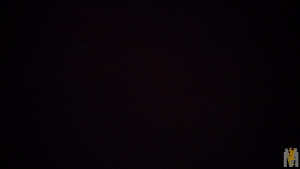 IMG-20231105-WA0007.jpeg