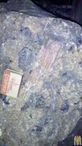 IMG_20160724_184821.jpg