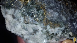20161117_141449.jpg