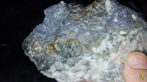 20161117_141516.jpg