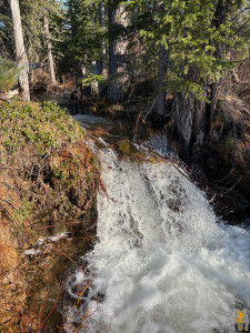 IMG_0915.jpeg
