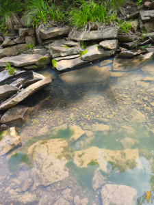 IMG_20260706_144507.jpg