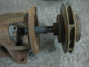 IMG_2279.JPG