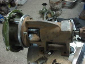 IMG_2291.JPG
