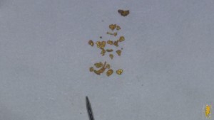 20170130_221956.jpg