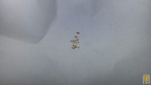 20170130_221911.jpg