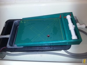 20170203_171504.jpg