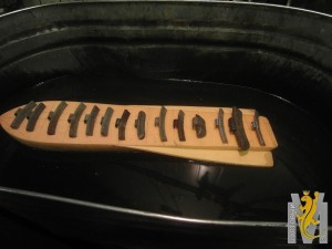 4019.jpg