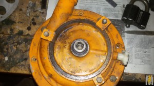 20170309_200944.jpg
