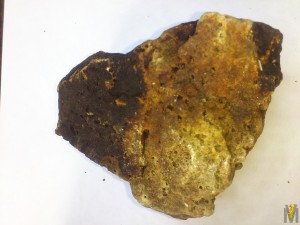 DSC_1176.jpg