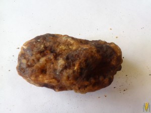 DSC_1194.jpg