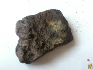 DSC_1197.jpg