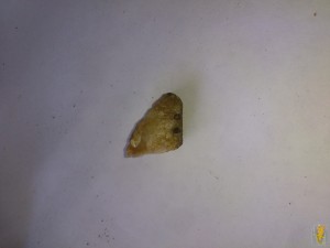 DSC_1189.jpg