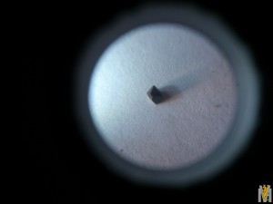 DSC_1201.jpg