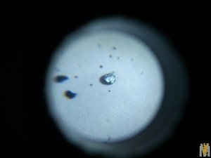 DSC_1202.jpg
