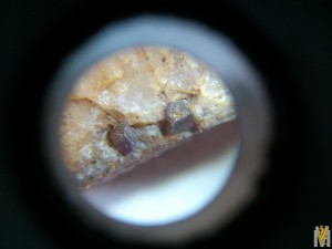 DSC_1190.jpg