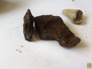 DSC_1199.jpg