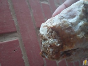 20170405_141237.jpg