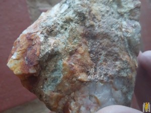 20170405_140942.jpg