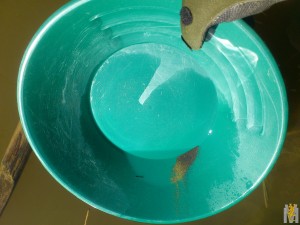 DSC_1187.jpg