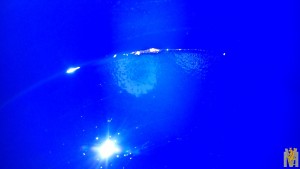 IMG_20170502_200414.jpg