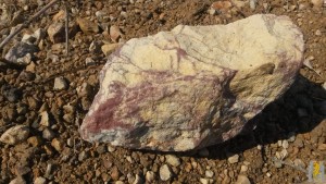 20170509_105351.jpg