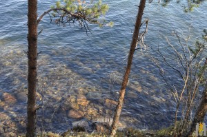 DSC_0504.JPG