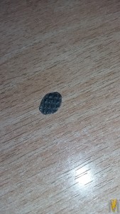 20170622_001544.jpg