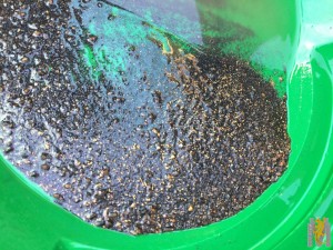 IMG-20170624-WA0012.jpg