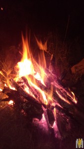 IMG_20170622_000248.jpg