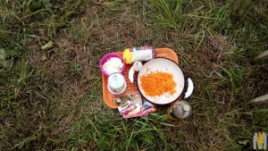 IMG_20170623_104448.jpg