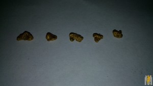 IMG_20170625_190757.jpg