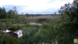 IMG_20170628_211413.jpg