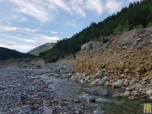 20170719_140730.jpg