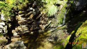 DSC01616.JPG